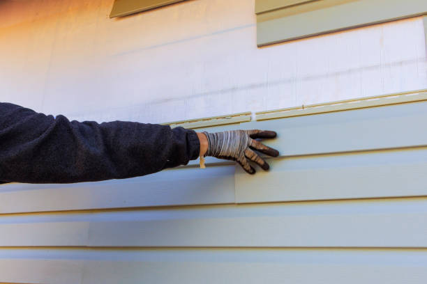 Affordable Siding Repair and Maintenance Services in Rocklin, CA